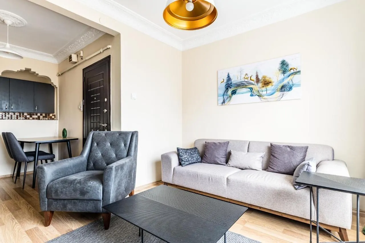 Fully Furnished And Spacious Flat In Kadikoy Istanbul Apartment
