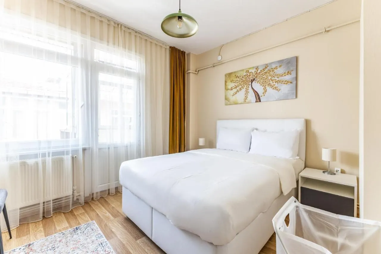 Fully Furnished And Spacious Flat In Kadikoy Istanbul