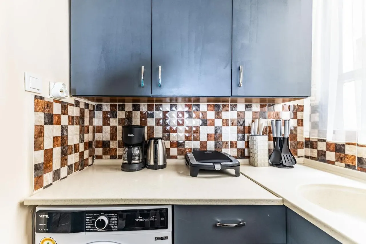 Apartament Fully Furnished And Spacious Flat In Kadikoy Istanbul Turcia