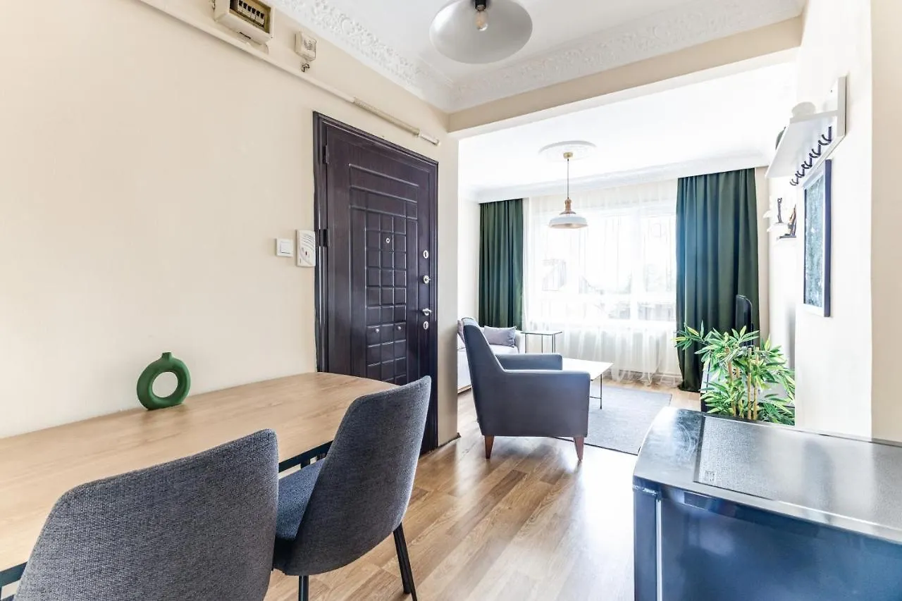 Fully Furnished And Spacious Flat In Kadikoy Istanbul Apartment