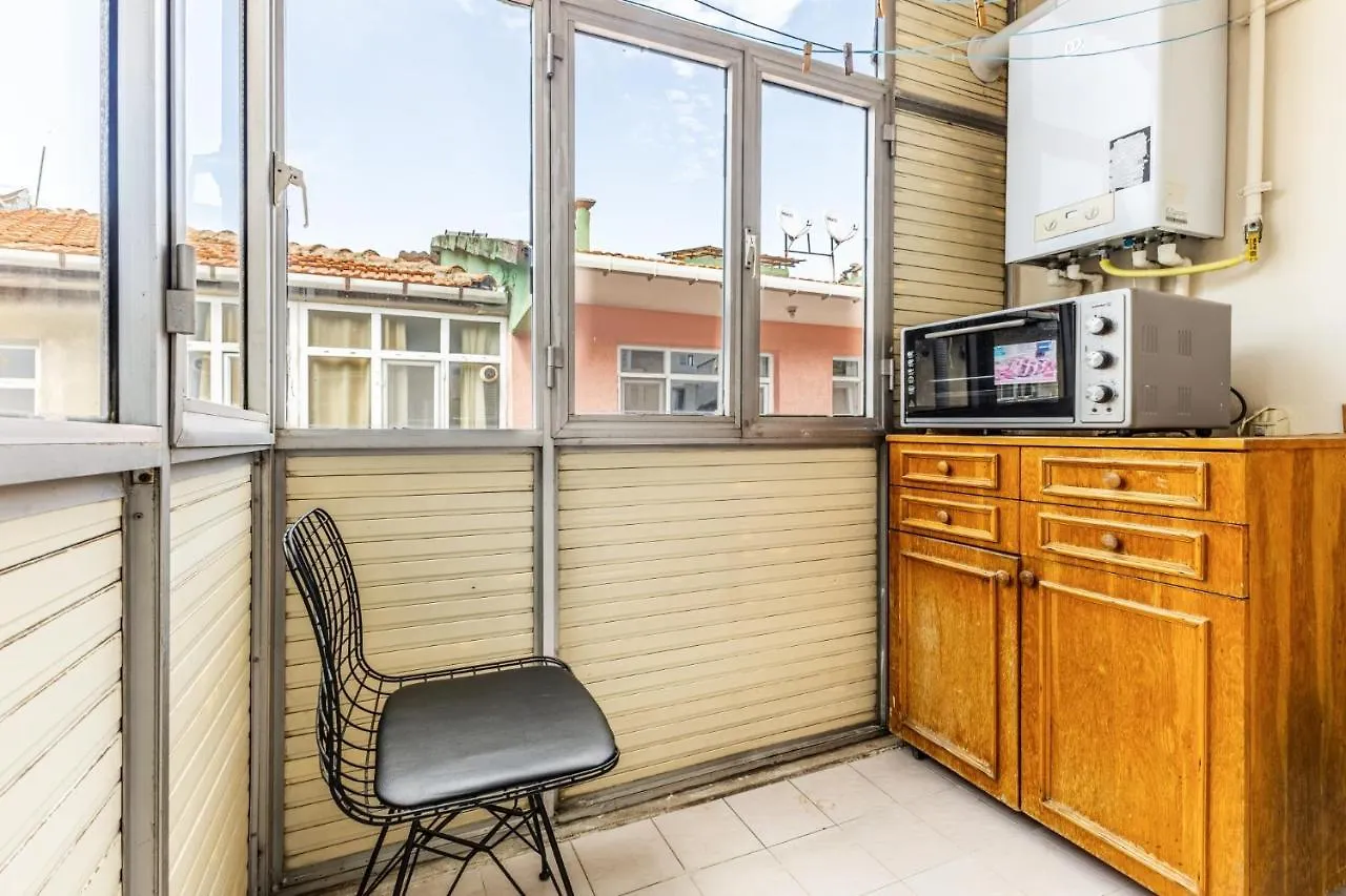 Fully Furnished And Spacious Flat In Kadikoy Istanbul 0*,  Turkey